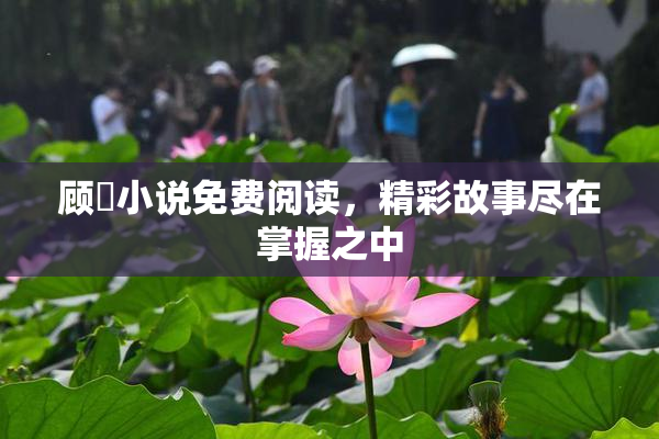 顾嫚小说免费阅读，精彩故事尽在掌握之中