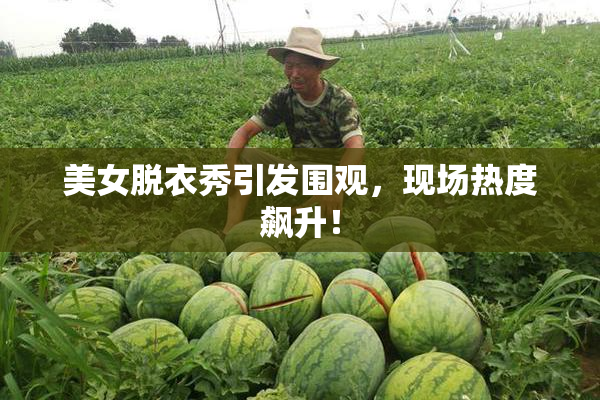 美女脱衣秀引发围观，现场热度飙升！
