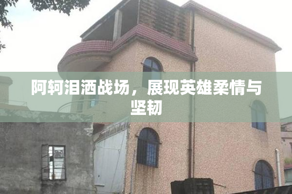 阿轲泪洒战场，展现英雄柔情与坚韧