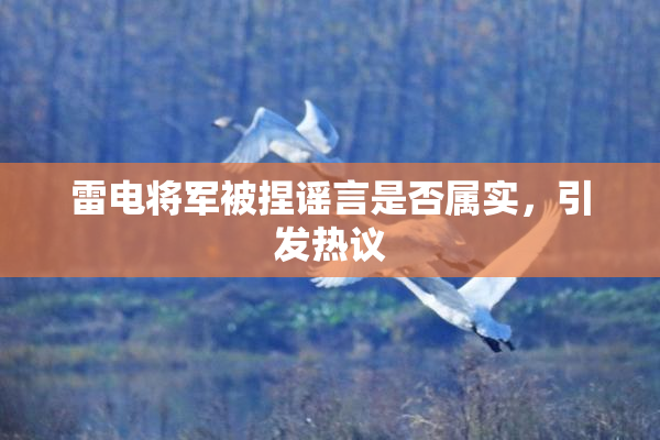 雷电将军被捏谣言是否属实，引发热议