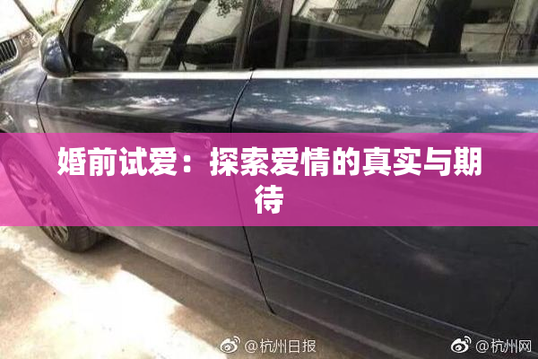 婚前试爱：探索爱情的真实与期待