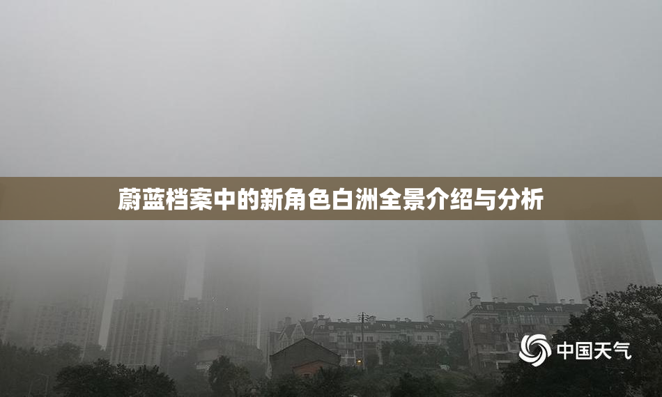 蔚蓝档案中的新角色白洲全景介绍与分析