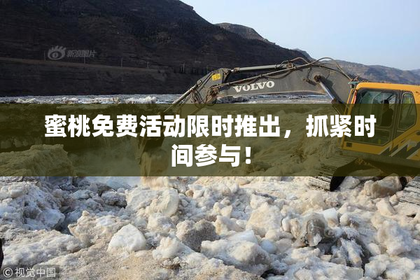 蜜桃免费活动限时推出，抓紧时间参与！