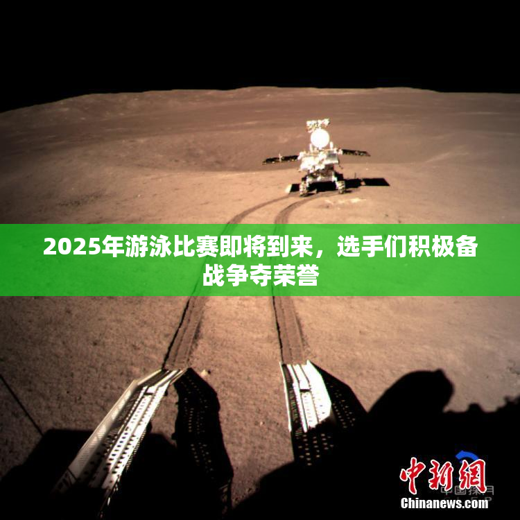 2025年游泳比赛即将到来，选手们积极备战争夺荣誉