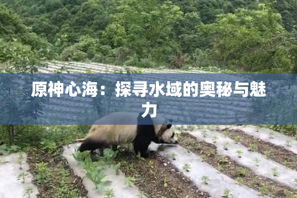 原神心海：探寻水域的奥秘与魅力