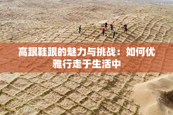 高跟鞋跟的魅力与挑战：如何优雅行走于生活中