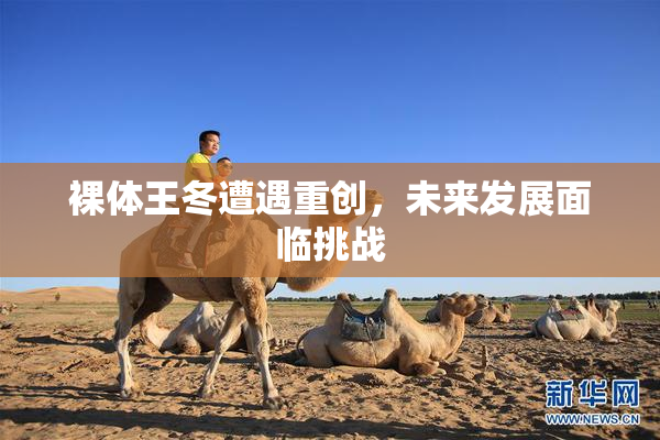 裸体王冬遭遇重创，未来发展面临挑战