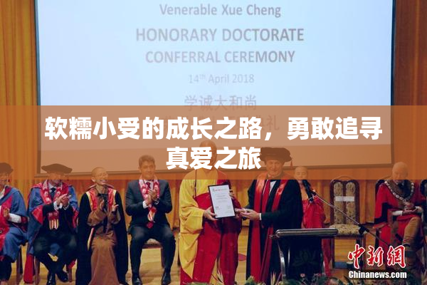 软糯小受的成长之路，勇敢追寻真爱之旅
