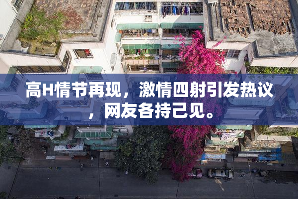 高H情节再现，激情四射引发热议，网友各持己见。
