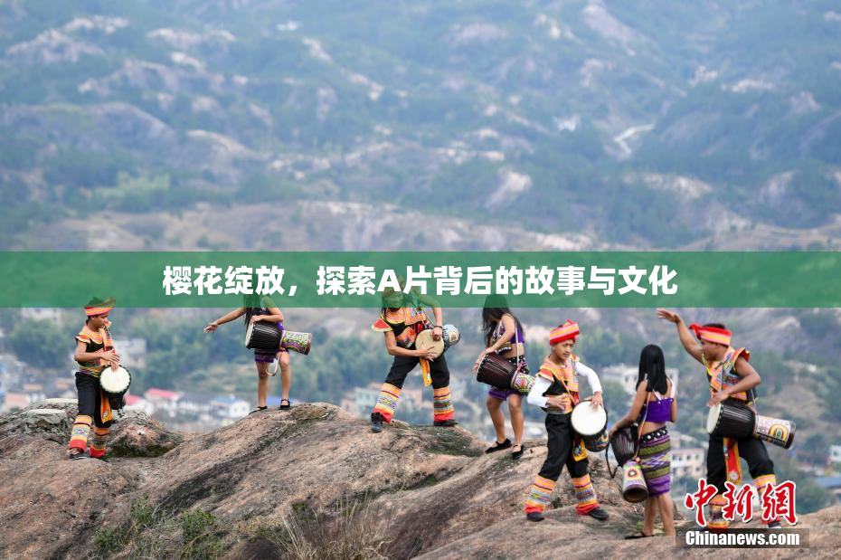 樱花绽放，探索A片背后的故事与文化