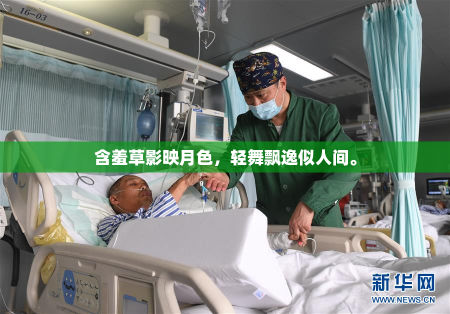 含羞草影映月色，轻舞飘逸似人间。