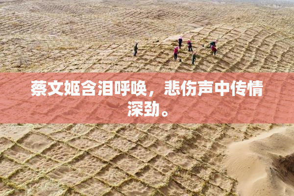 蔡文姬含泪呼唤，悲伤声中传情深劲。