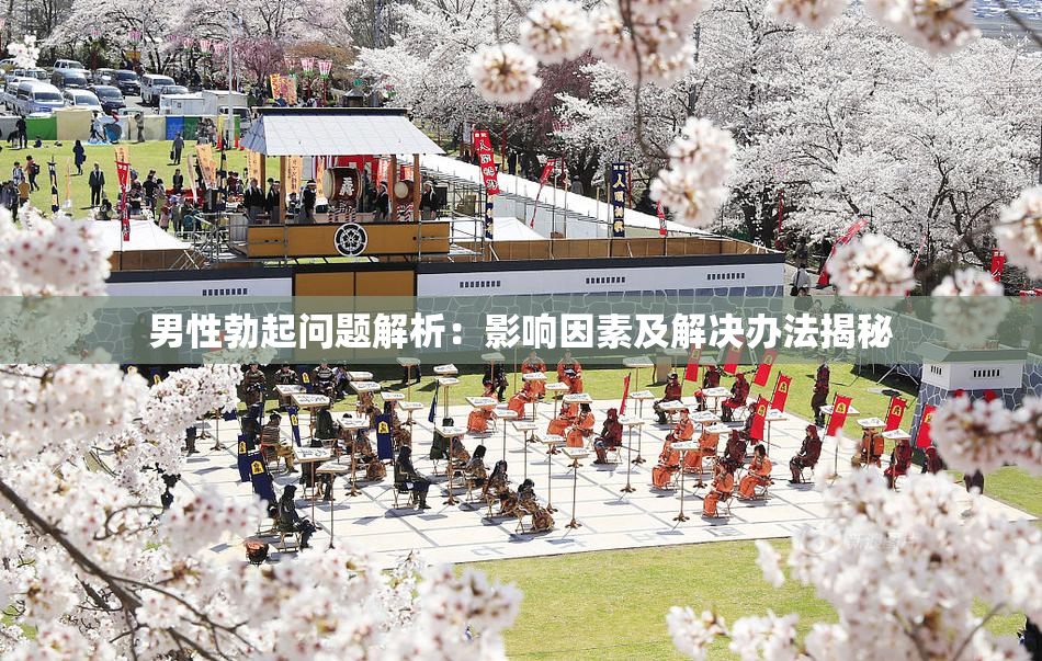 男性勃起问题解析：影响因素及解决办法揭秘