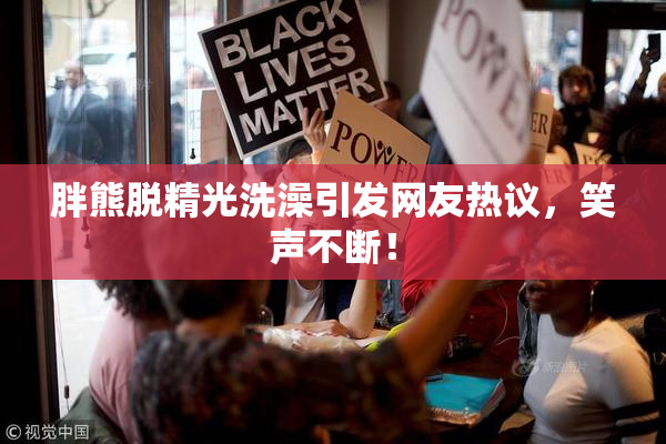 胖熊脱精光洗澡引发网友热议，笑声不断！