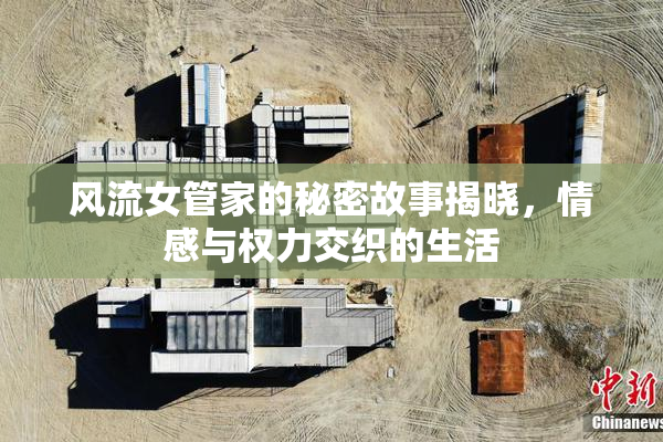 风流女管家的秘密故事揭晓，情感与权力交织的生活