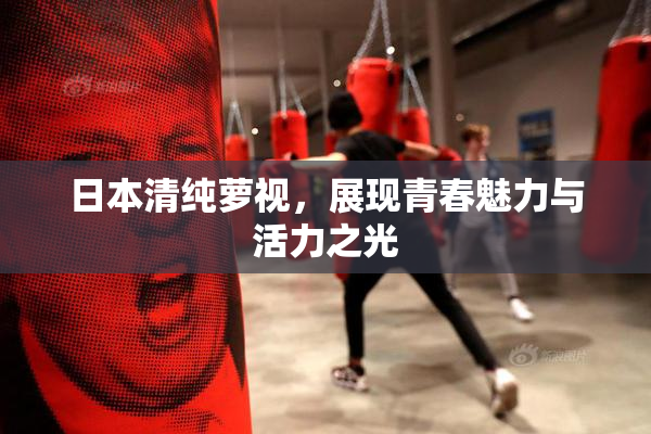 日本清纯萝视，展现青春魅力与活力之光