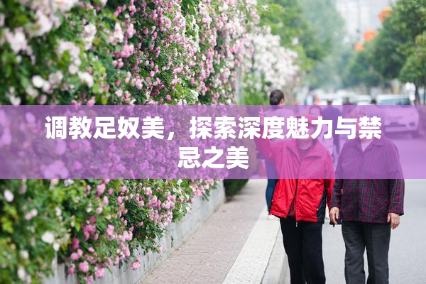 调教足奴美，探索深度魅力与禁忌之美