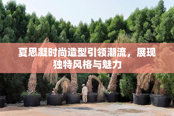 夏思凝时尚造型引领潮流，展现独特风格与魅力