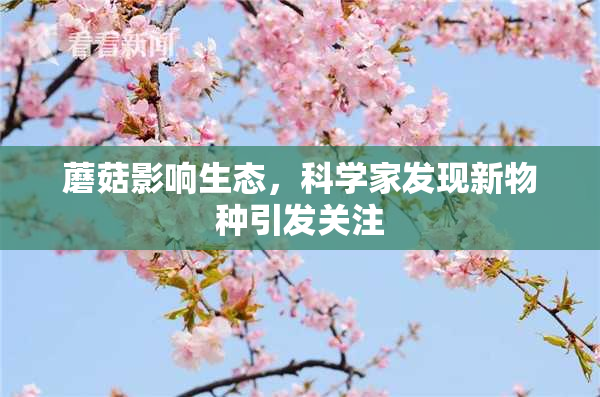 蘑菇影响生态，科学家发现新物种引发关注