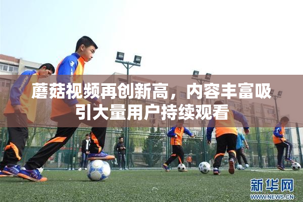 蘑菇视频再创新高，内容丰富吸引大量用户持续观看