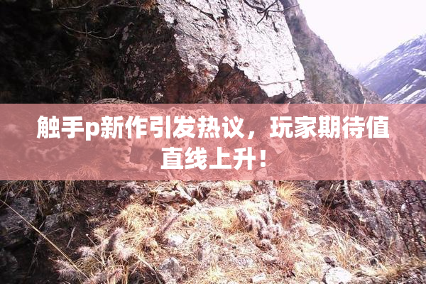 触手p新作引发热议，玩家期待值直线上升！