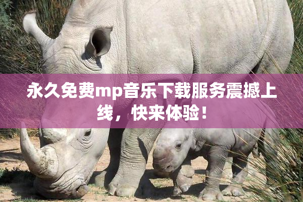 永久免费mp音乐下载服务震撼上线，快来体验！
