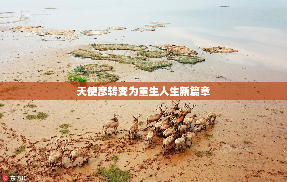 天使彦转变为重生人生新篇章
