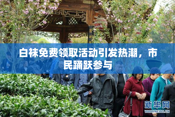白袜免费领取活动引发热潮，市民踊跃参与