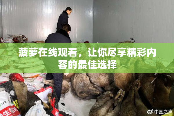菠萝在线观看，让你尽享精彩内容的最佳选择