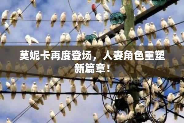 莫妮卡再度登场，人妻角色重塑新篇章！