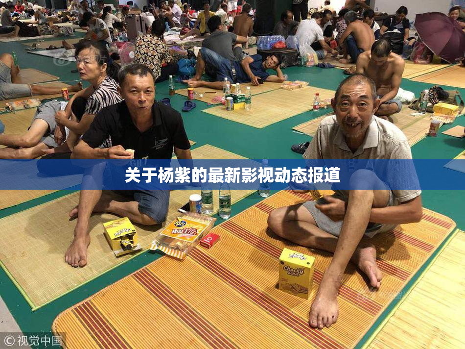 关于杨紫的最新影视动态报道