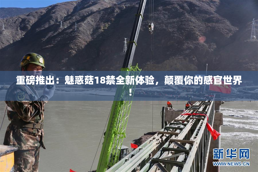 重磅推出：魅惑菇18禁全新体验，颠覆你的感官世界！