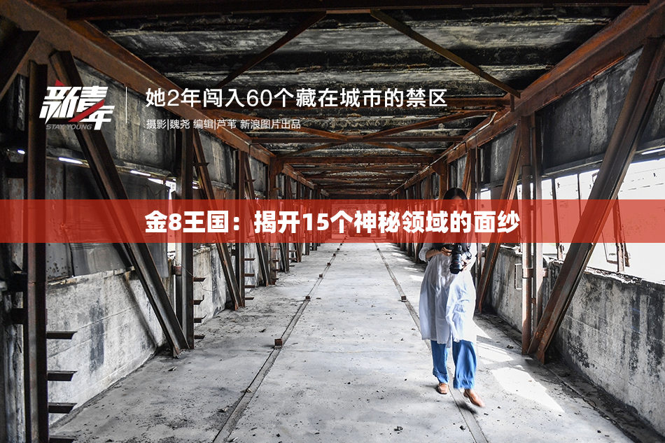 金8王国：揭开15个神秘领域的面纱