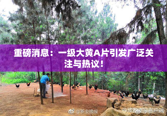 重磅消息：一级大黄A片引发广泛关注与热议！