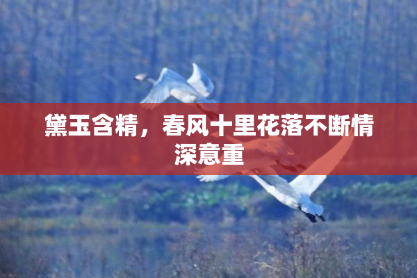 黛玉含精，春风十里花落不断情深意重
