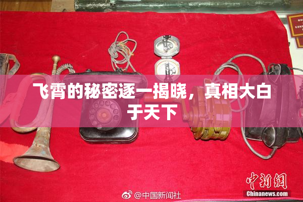 飞霄的秘密逐一揭晓，真相大白于天下