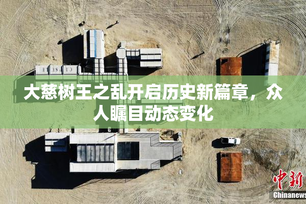 大慈树王之乱开启历史新篇章，众人瞩目动态变化