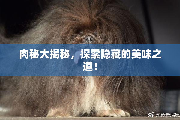 肉秘大揭秘，探索隐藏的美味之道！