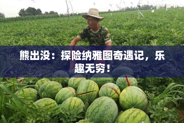 熊出没：探险纳雅图奇遇记，乐趣无穷！