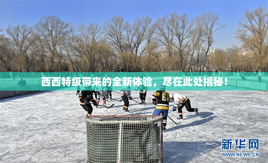 西西特级带来的全新体验，尽在此处揭秘！