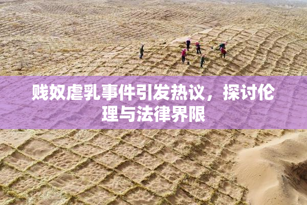 贱奴虐乳事件引发热议，探讨伦理与法律界限
