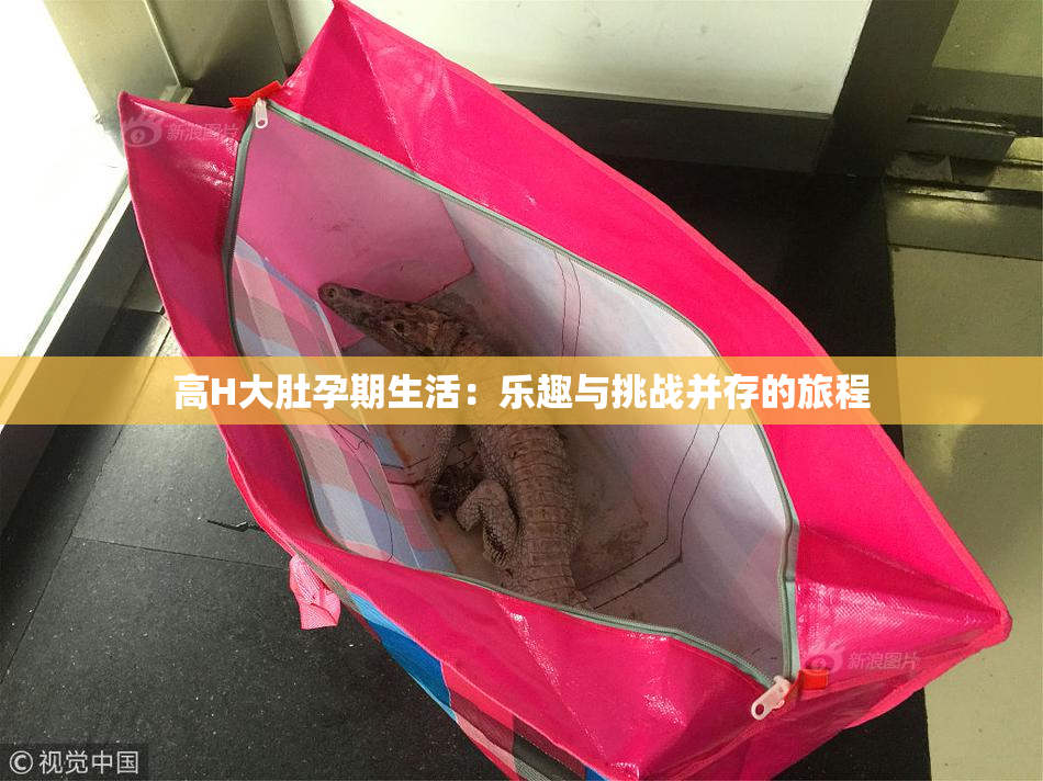 高H大肚孕期生活：乐趣与挑战并存的旅程