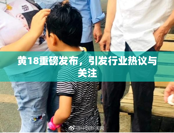 黄18重磅发布，引发行业热议与关注