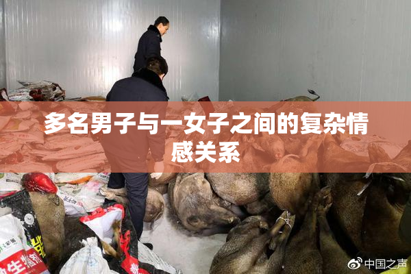 多名男子与一女子之间的复杂情感关系