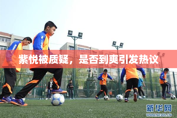 紫悦被质疑，是否到爽引发热议