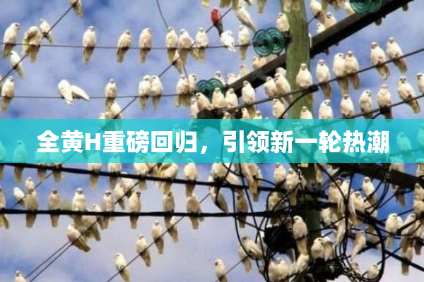 全黄H重磅回归，引领新一轮热潮