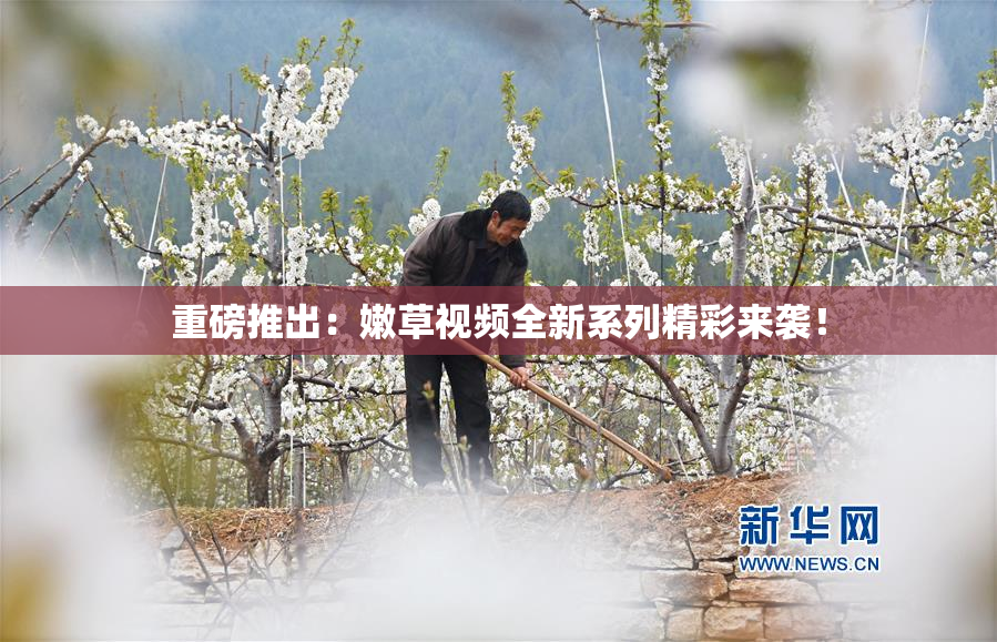 重磅推出：嫩草视频全新系列精彩来袭！