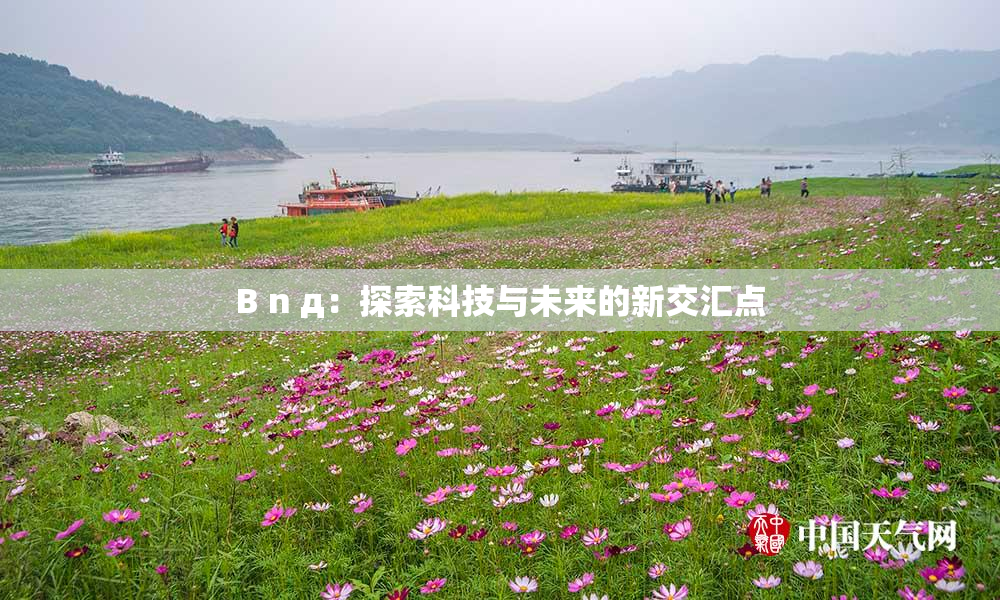 B n д：探索科技与未来的新交汇点