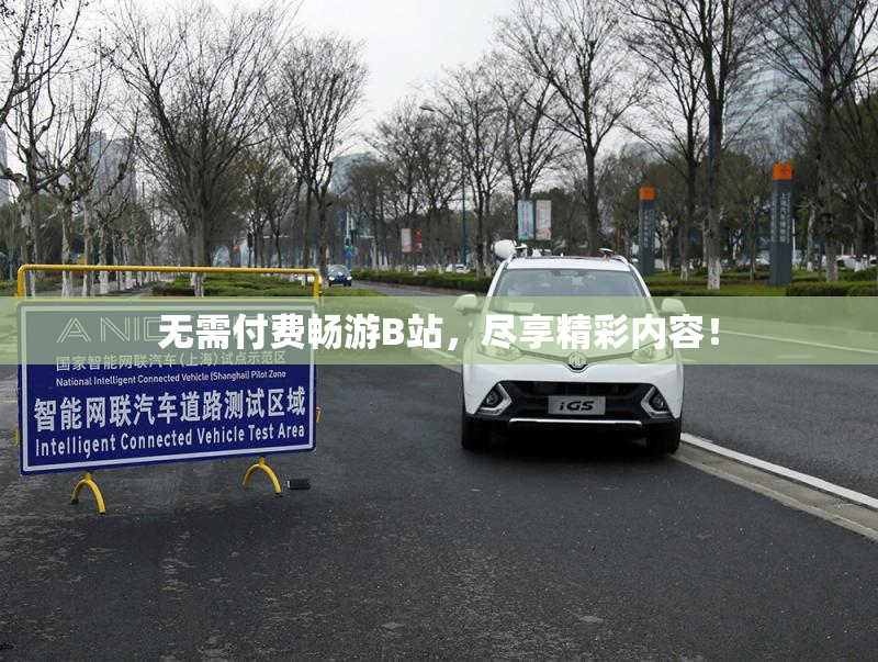 无需付费畅游B站，尽享精彩内容！