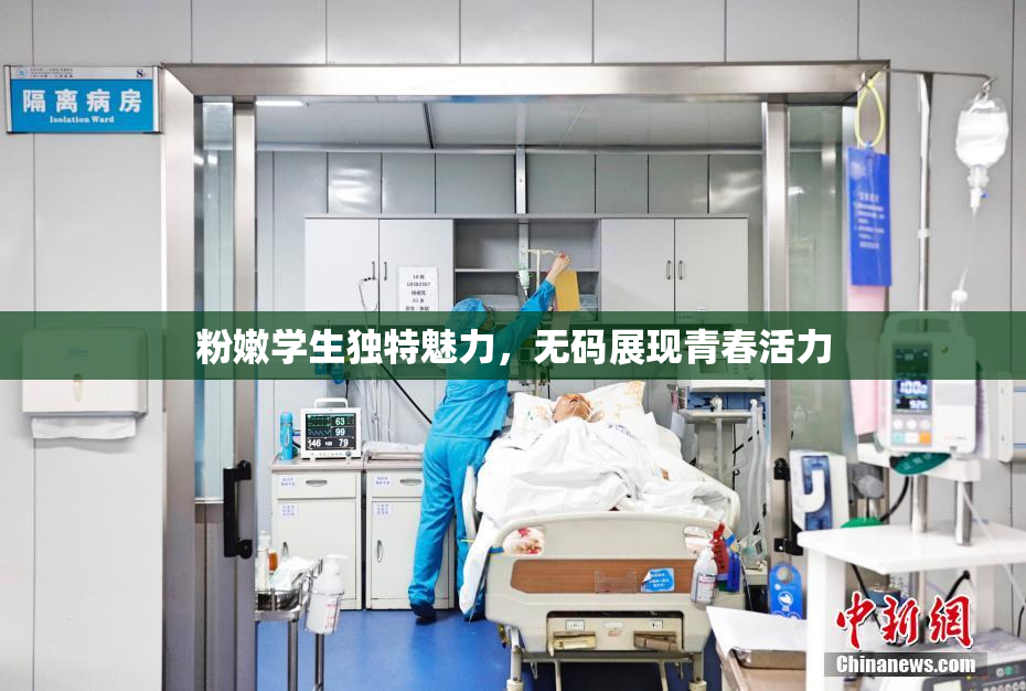 粉嫩学生独特魅力，无码展现青春活力